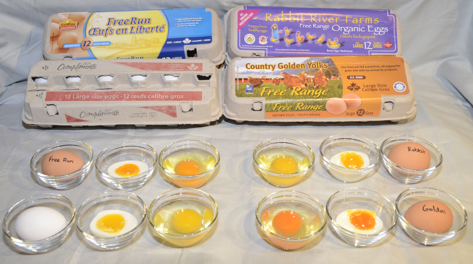 Free-range, free-run, organic and normal eggs